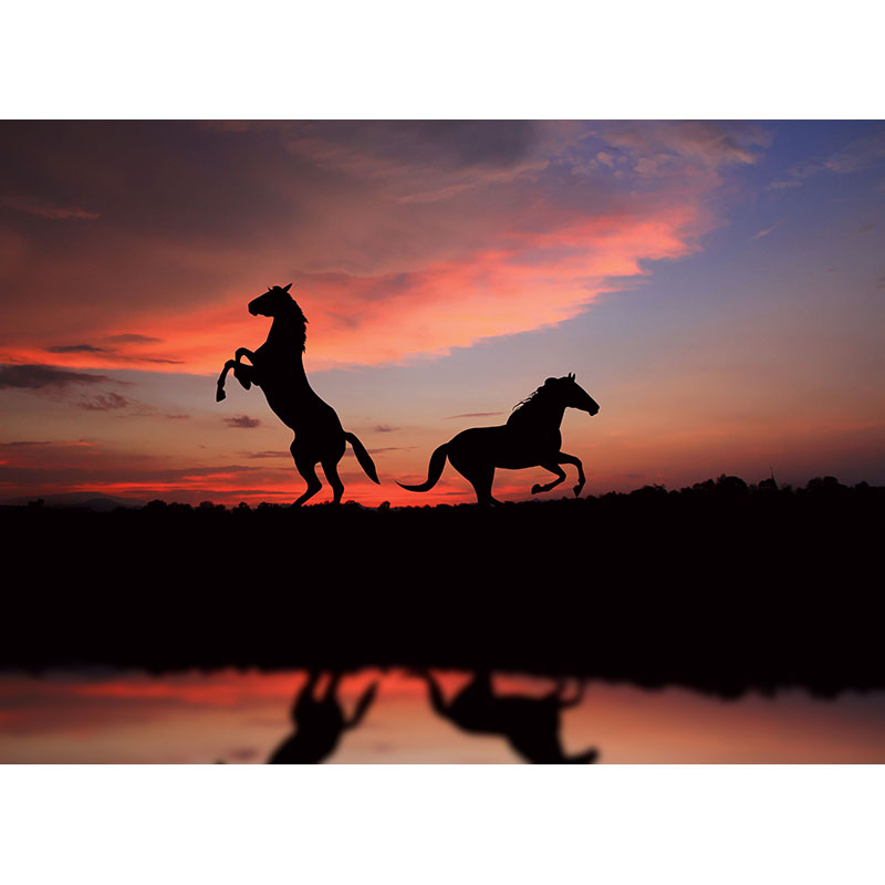 Πίνακας με καμβά Άλογα στο Ηλιοβασίλεμα